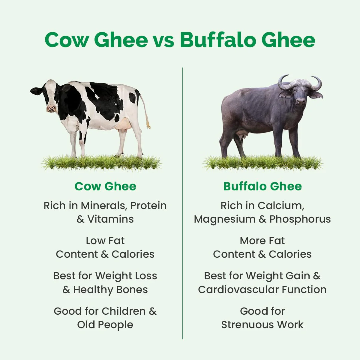 Organic Cow Ghee By Auric | Healthy & Delicious Nutrients Lab Certified Desi Ghee Protact Eyesight | 2 Litr (1 Litr * 2) 67.6 Ounce | Box Pack - Image 3