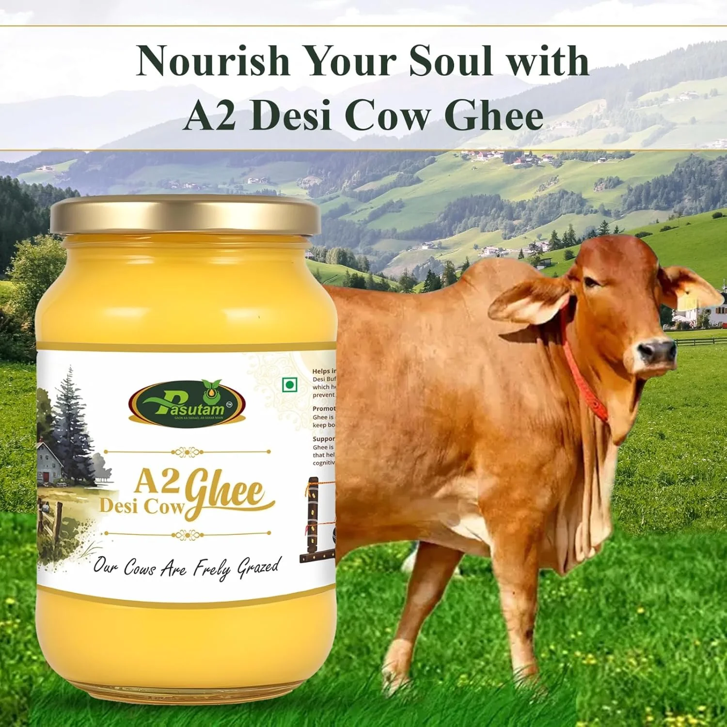 Organic Natural A2 Desi Cow Ghee By Pasutam | Natural & Healthy Desi Cow Ghee Perfect For Bakes Cookies | (500ml) 16.9 Ounce | Jar Pack - Image 4