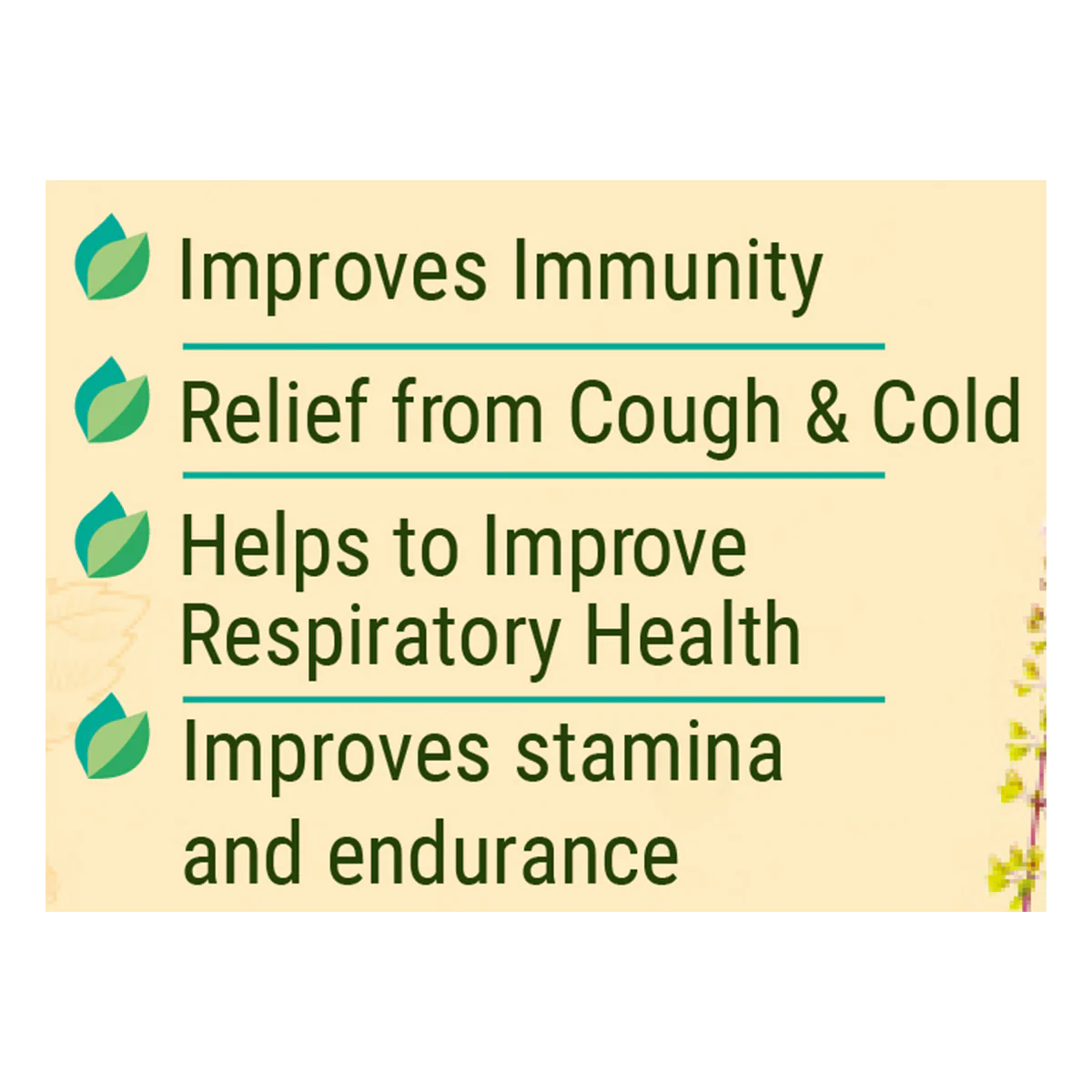 Patanjali Shila Tulsi Drop 30ml - Image 2