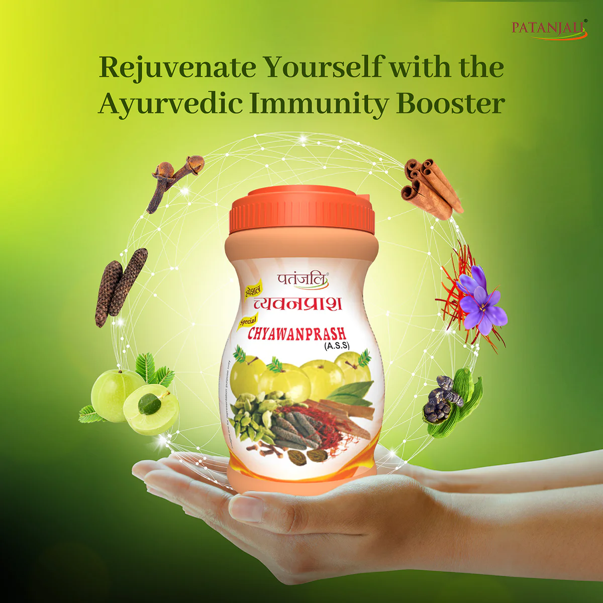 Patanjali Special Chyawanprash 500gm - Image 6