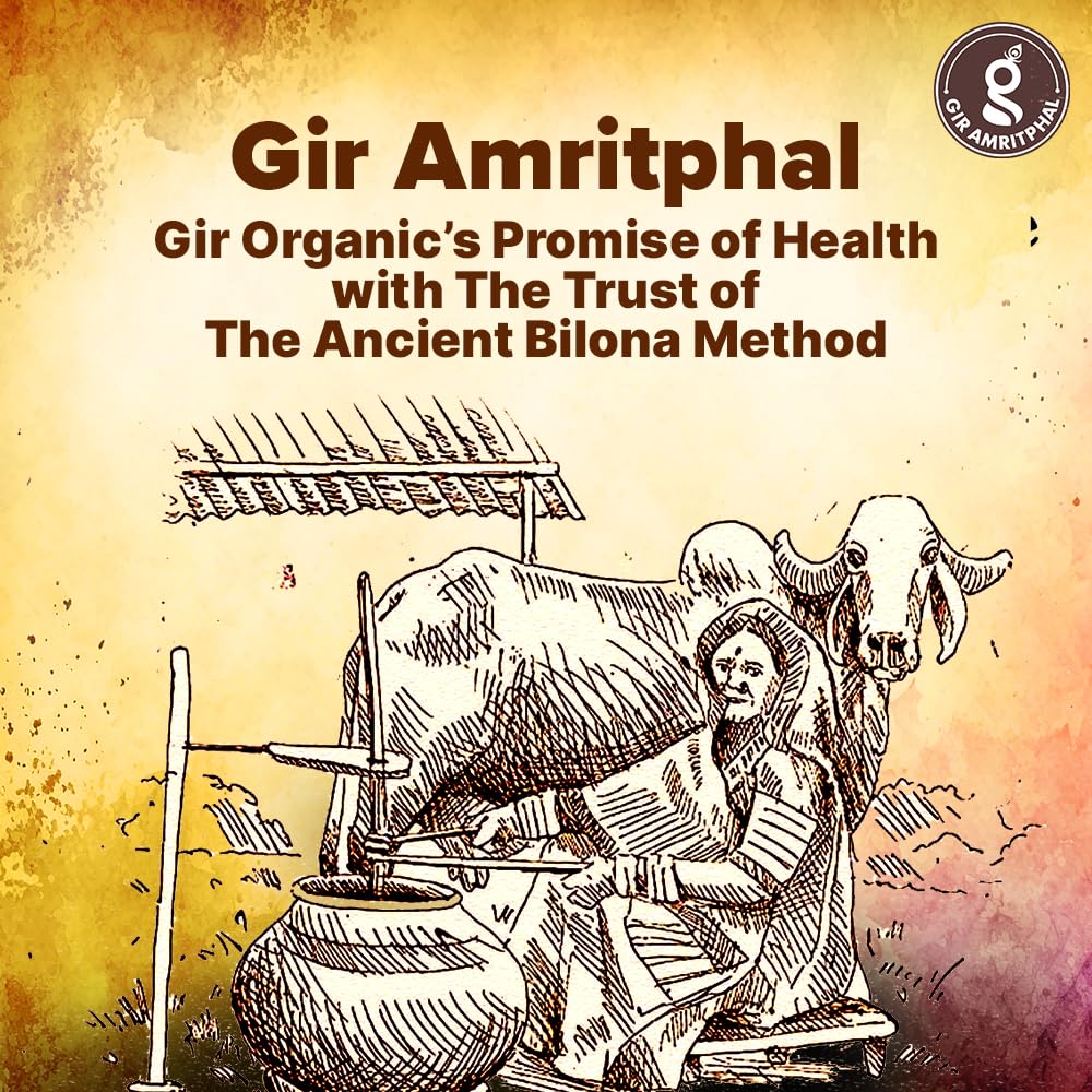 Premium A2 Bilona Gir Cow Desi Ghee By Gir Amritphal | Good Source Of Healthy Desi Cow Ghee For Glowing Skin | 1 Litre (500ml * 2) 33.8 Ounce | Container Jar - Image 5