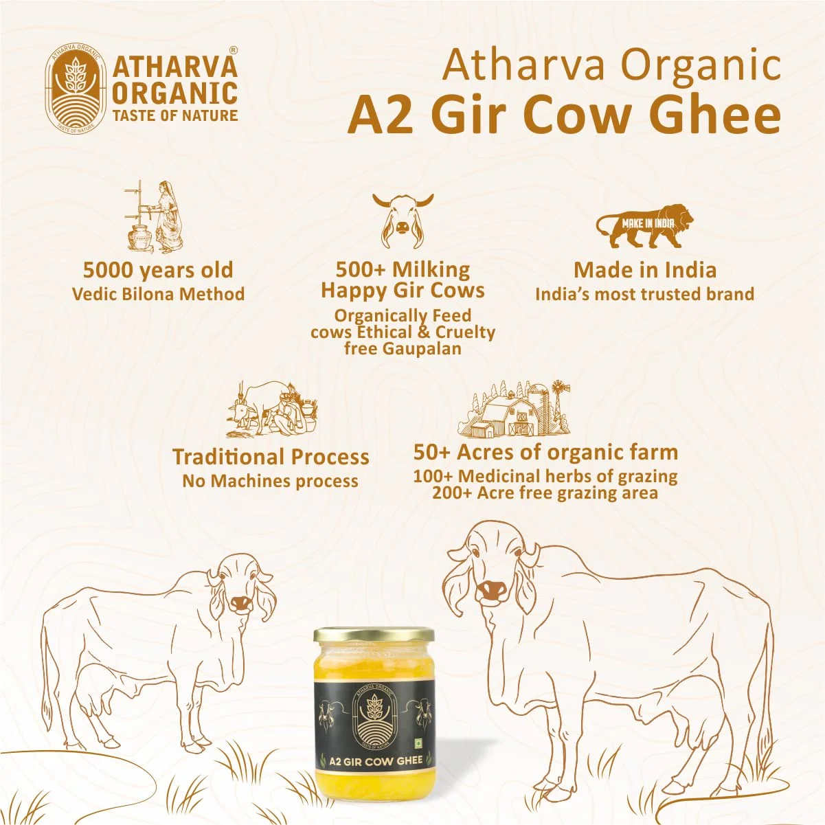 Premium A2 Desi Gir Cow Ghee By Atharvaa Organic | Natural & Healthy Protein Fiber Desi Cow Ghee Perfect For Body Joint Pain | (500ml) 16.9 Ounce | Jar Pack - Image 5