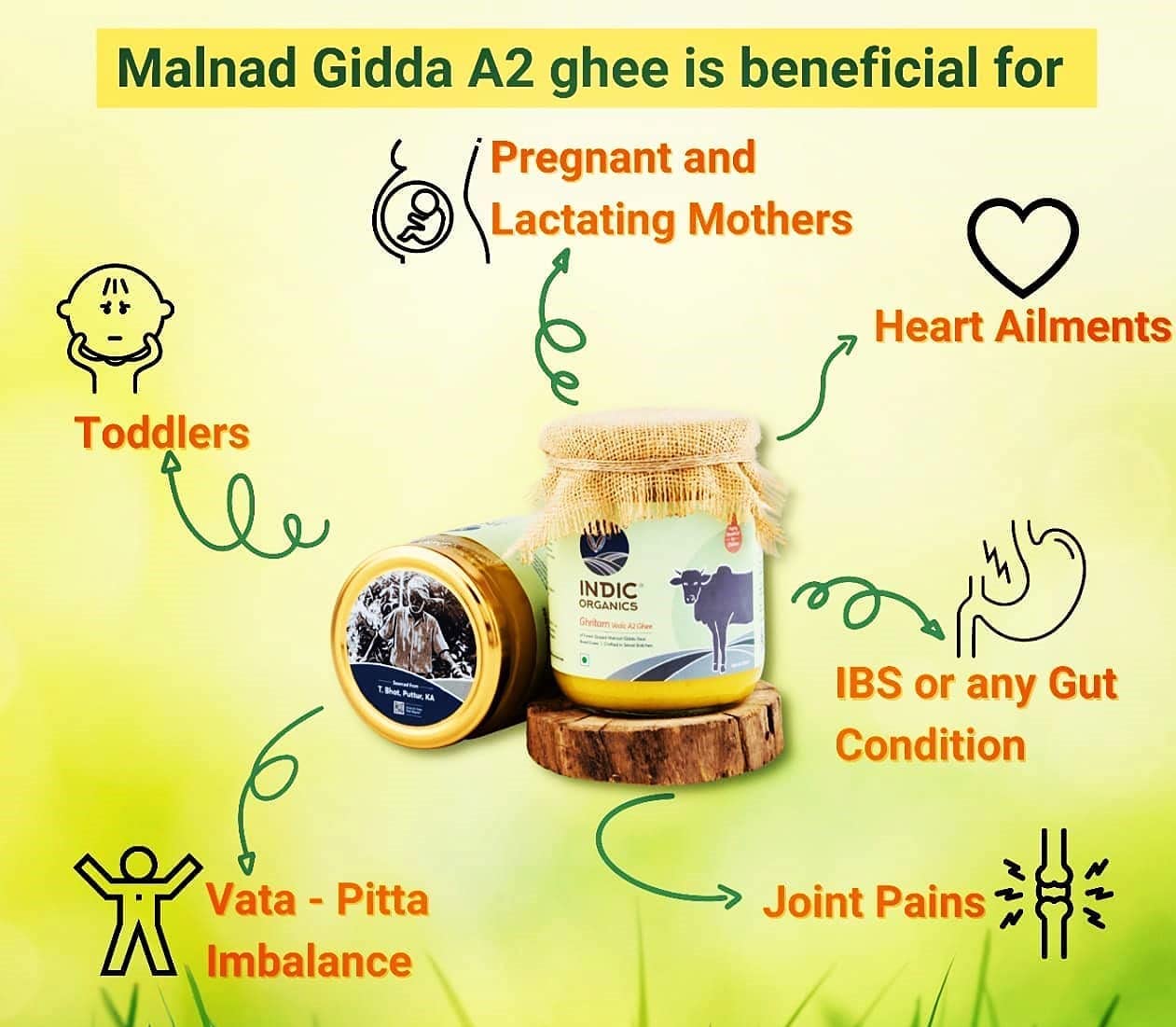 Premium Ghritam Vedic A2 Ghee By Indic Organics | Good Source Of Healthy & Nutritious Desi Cow Ghee For Protact Eyesight | (250ml) 8.4 Ounce | Jar Pack - Image 3