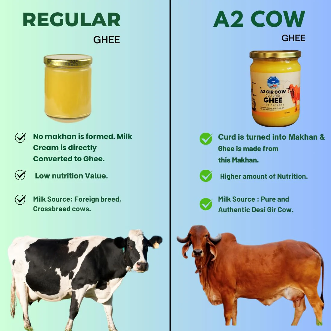 Premium Natural A2 Gir Cow Ghee By Rachiket | Rich In Nutrients & Healthy Fats Bilona Cow Ghee Good For Digestive Health | (500ml) 16.9 Ounce | Jar Pack - Image 4