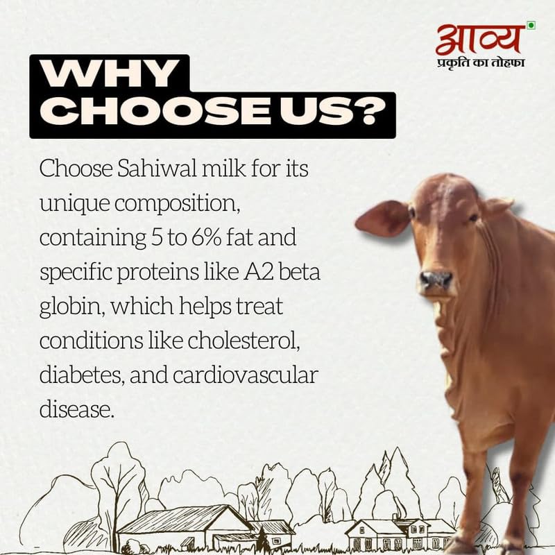 Pure A2 Desi Cow Ghee By Aavya | Rich In Nutrients & Strong Aroma Pure Desi Ghee Good For Improve Body Immunity | (1 Litr) 33.8 Ounce | Jar Pack - Image 4