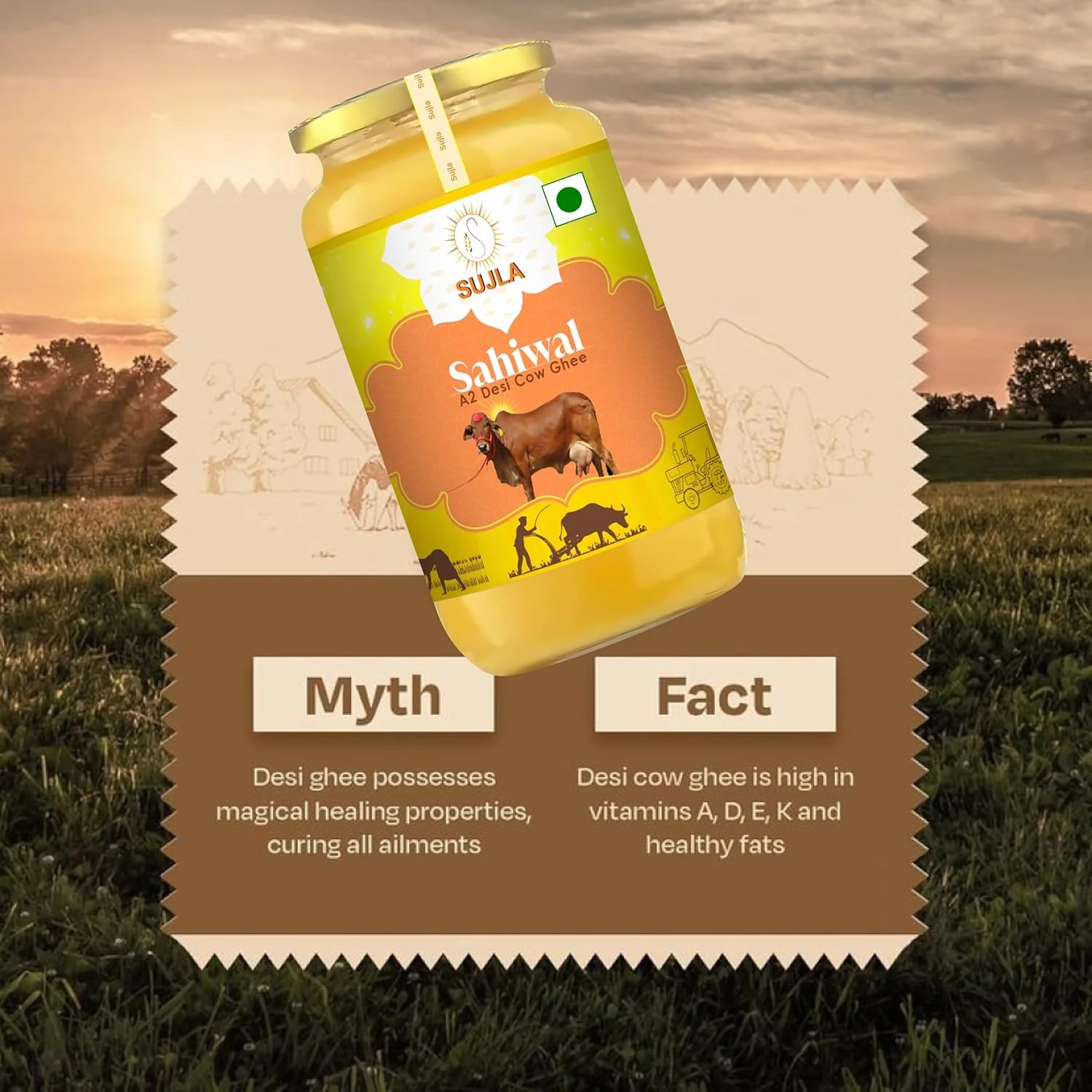 Pure A2 Desi Sahiwal Cow Ghee By Sujla | Naturally Rich Taste & Aroma Desi Pure Ghee Perfect For Supports Digestion | (500ml) 16.9 Ounce | Jar Pack - Image 3