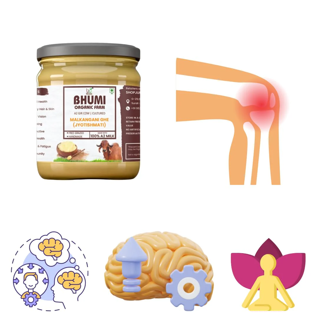 Pure Premium Malkangani Ghee (Jyotishmati) By Bhumi Organic Farm | Naturally & Healthy Bilona Method Cow Ghee Perfect For Moisturize Dry Skin | (250ml) 8.4 Ounce | Jar Pack - Image 3