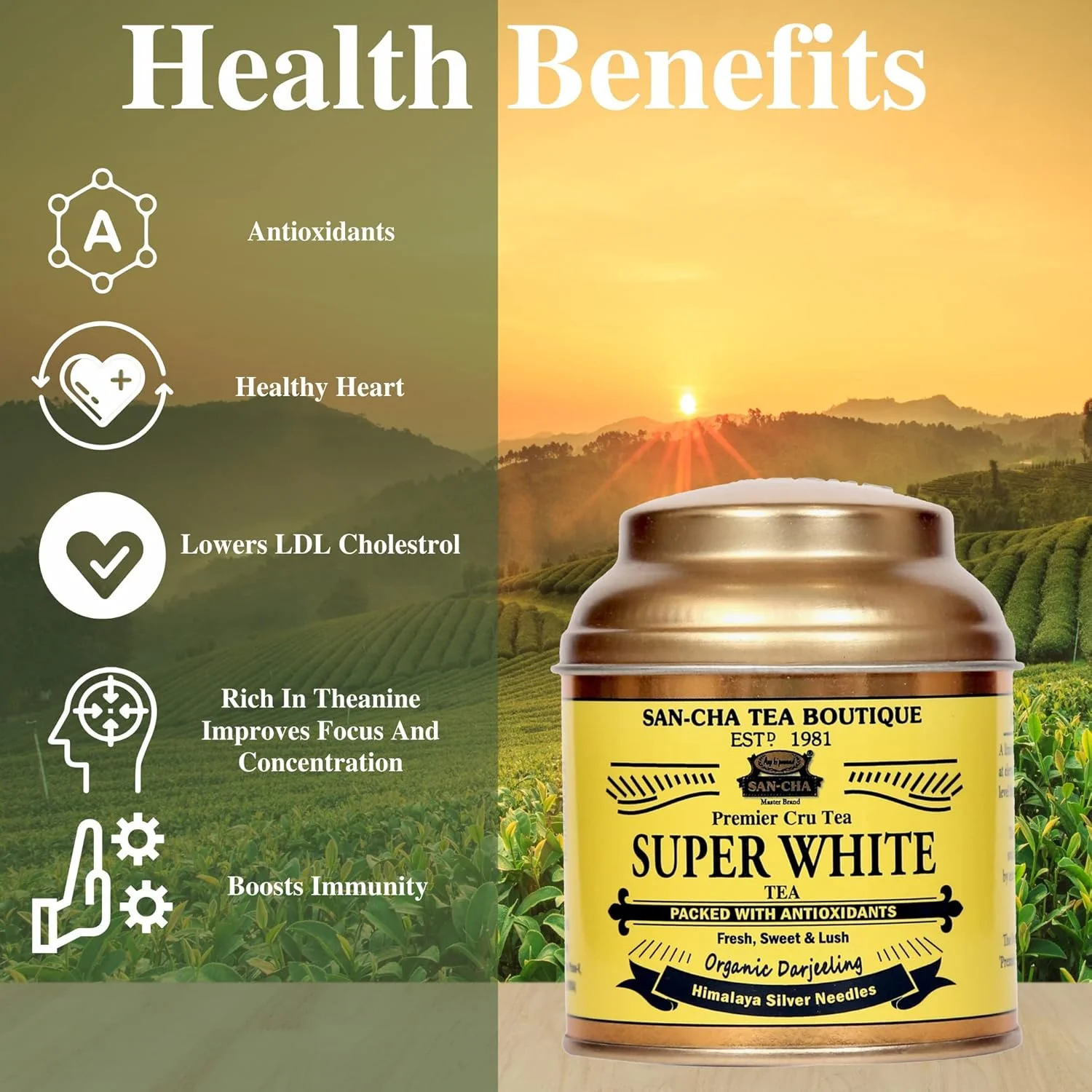 San-Cha Premier Cru Super White Tea - 25gm, 0.8 Ounce | Fresh, Sweet & Lush Organic Darjeeling Tea - Low Caffeine, Richest In Antioxidants - Image 5