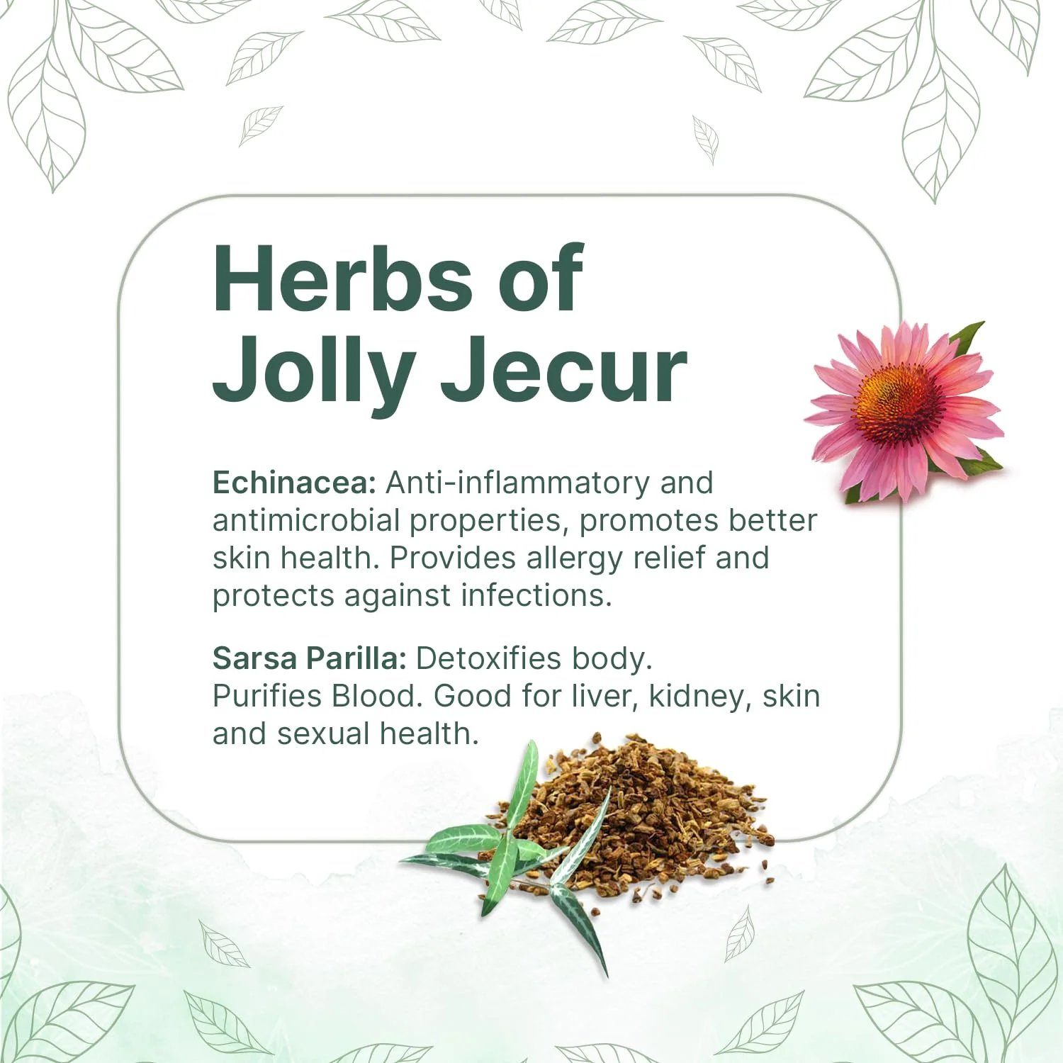 SOL Jolly Jecur Liver Detox Tea - Pack Of 2 X 20 Pyramid Tea Bags | Assortment Of Herbs, Contains Milk Thistle, Nettle, Dandelion Root & Sarsaparilla - Helps Remove Toxins & Protect Liver - Image 5