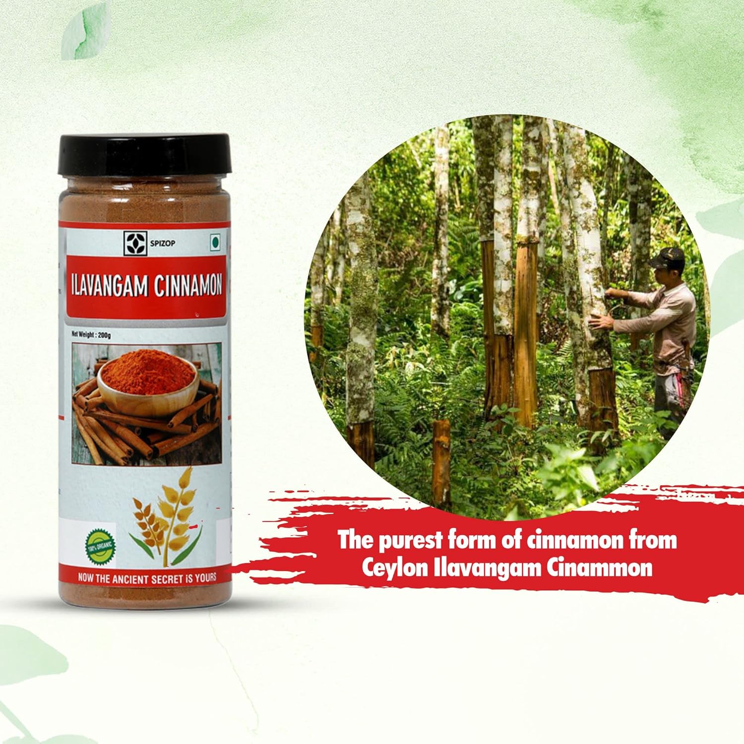 Spizop Ilavangam Cinnamon Powder Sweet Taste Aromatic Fragrance 100% Natural, No Added Chemicals ? 200gm 0.4lbs - Image 2