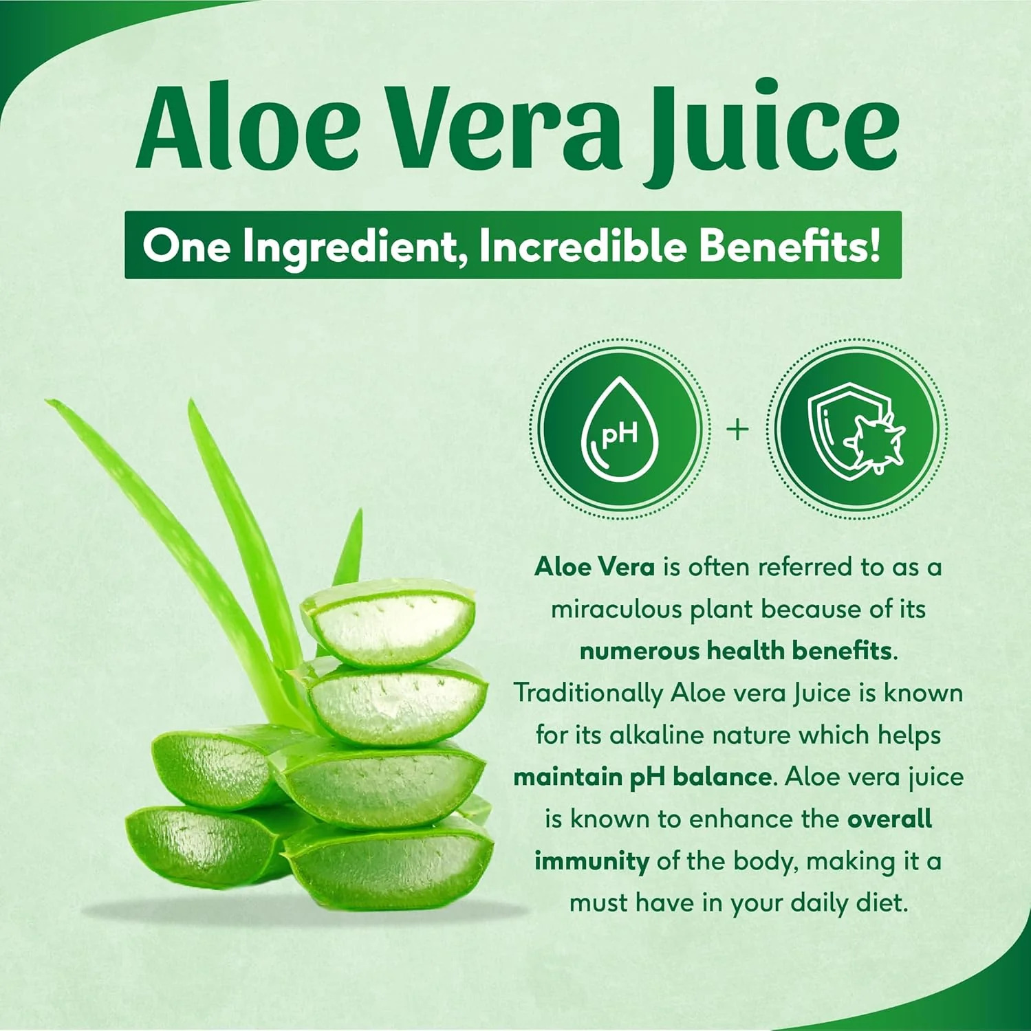 Sri Sri Tattva Shuddhta Ka Naam Aloe Vera Juice - Natural, Supports Healthy Weight Management, Aids In Detox, Improve Immunity | 1 L 2.2lbs - Image 4