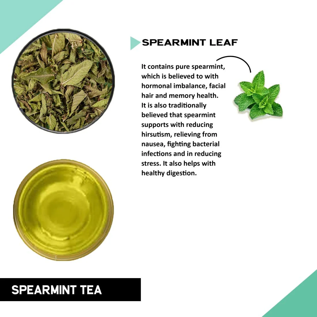 Teacurry Plant Based Spearmint Leaf Tea Bag - 60gm, 2.1 Ounce, 30 Pyramid Tea Bags | Helps With Hormonal Imbalance, Facial Hair & PCOS - Caffeine Free, Gluten Free - Image 2
