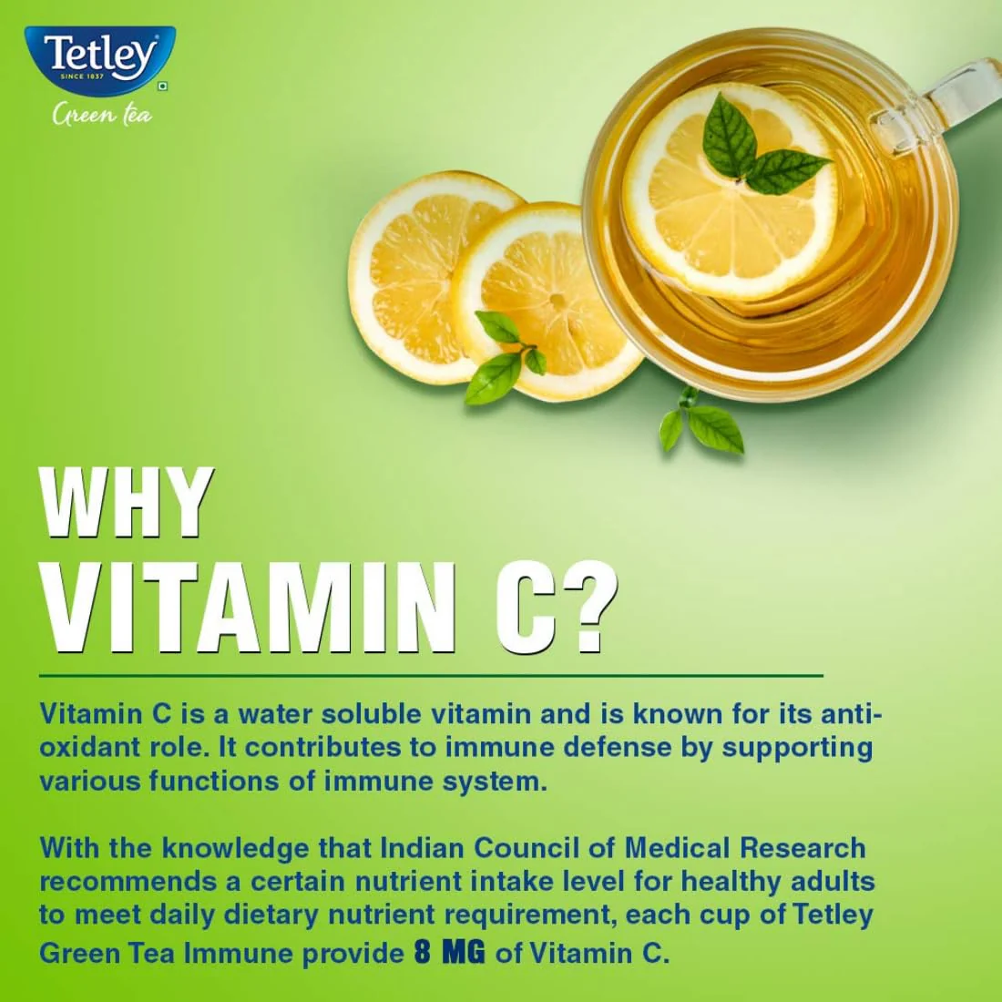 Tetley Lemon & Honey Green Tea - 100 Tea Bags Envelopes | Immune With Added Vitamin C - Rich In Antioxidants, Medium Caffeine - Image 4