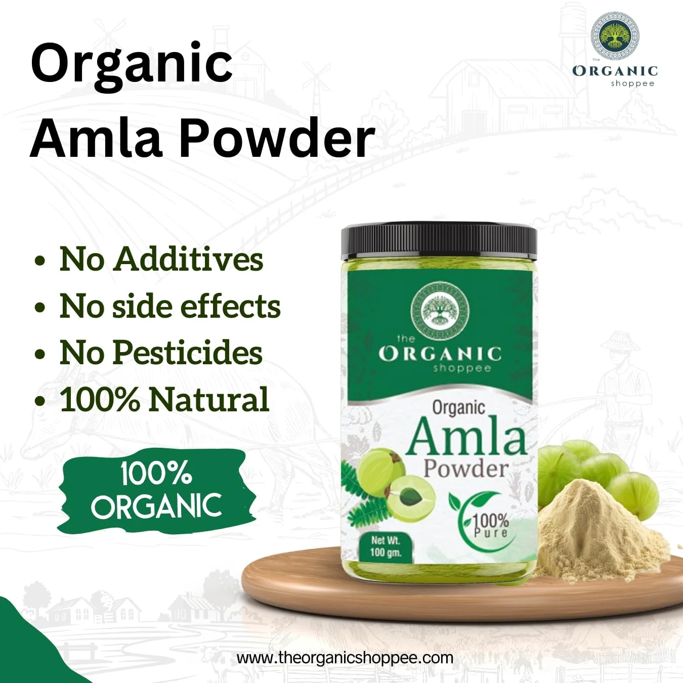 The Organic Shoppee Organic Amla Powder, Rich In Vitamin, Rejuvenates Skin, Boost Immunity, Nourishes Hair, Antioxidant Source | 100gm 0.2lbs Each Pack Of 2 - Image 3