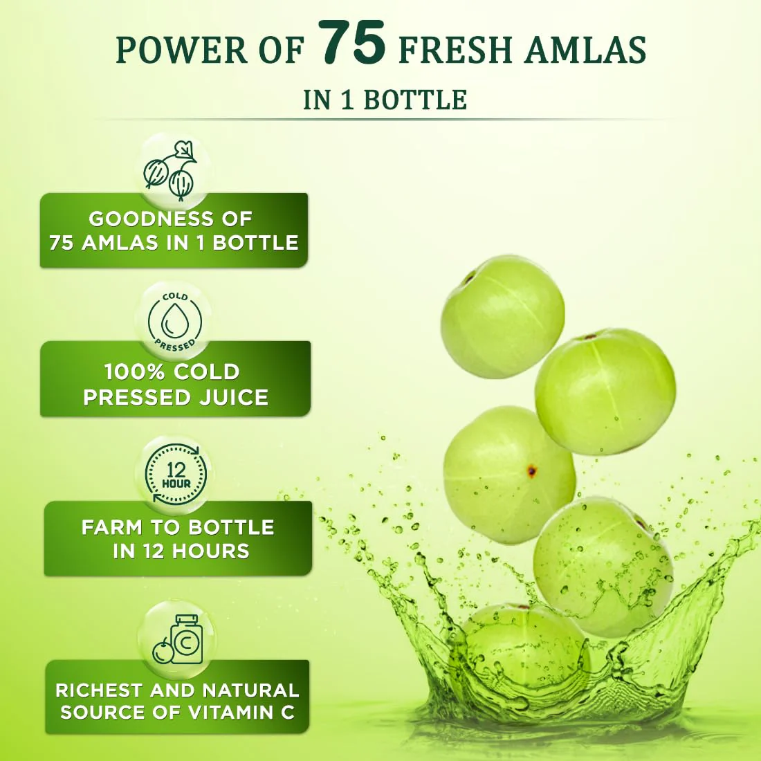 Vansaar Ayurvedic Tangy Amla Juice 100% Cold Pressed Wild Amlas Rich In Vitamin C Sourced, Farm To Bottle In 12 Hours 75 Pure Amlas For Hair Growth & Detoxification | 1000ml 2.2lbs - Image 4