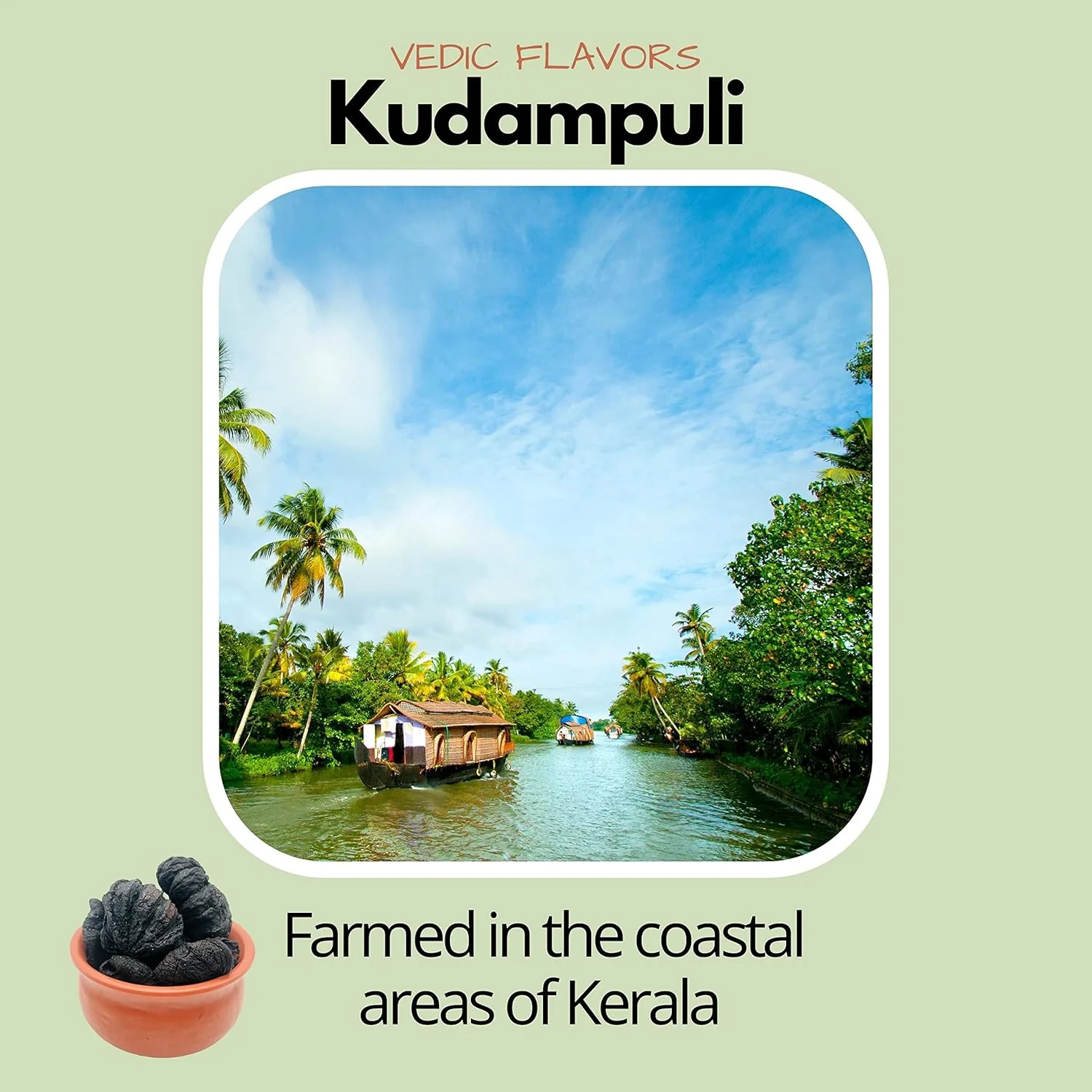 Vedic Flavors Garcinia Cambogia Kudampuli From Kerala Fish Tamarind Garcinia Cambogia, A Natural Weight Loss Supplement | 500gm 1.1lbs - Image 2