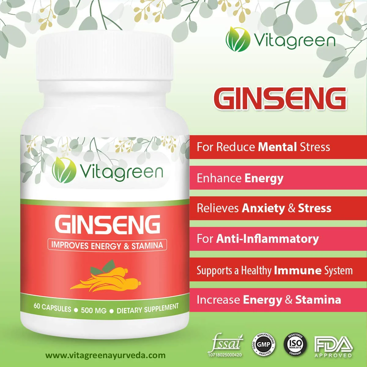 Vitagreen 100% Natural Immunity Boost, Anti Stress Ginseng Capsules ,500mg, Help To Supports Healthy Immune Function, Supports Energy Production | 60 Capsules 100gm 0.2lbs - Image 3