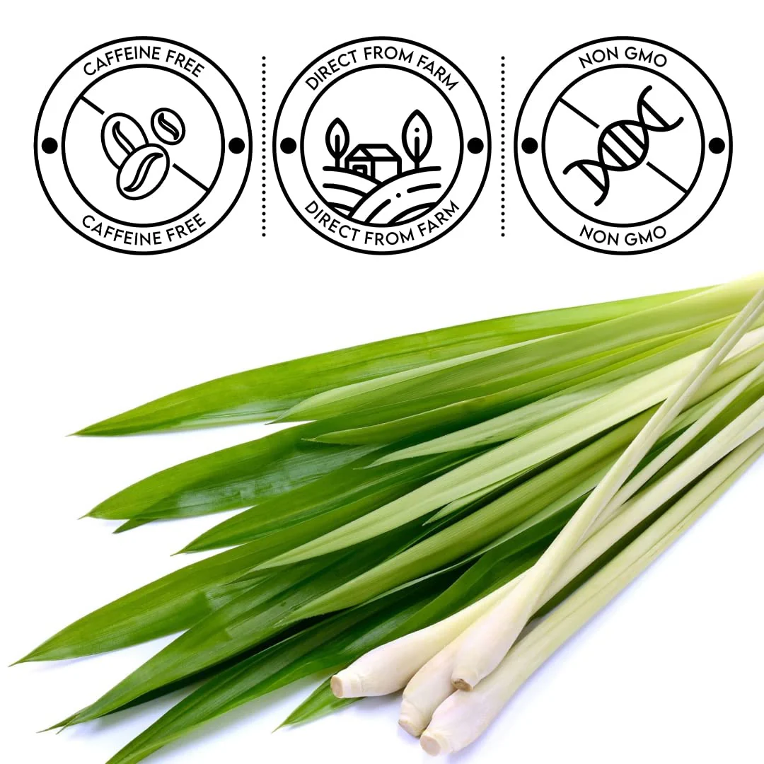 Yogafy Lemongrass Herbal Tea Leaves - 100gm Reusable Pet Jar, 3.5 Ounce, 50 Cups | Boost Metabolism Used For Detox - Caffeine Free, Non GMO - Image 3